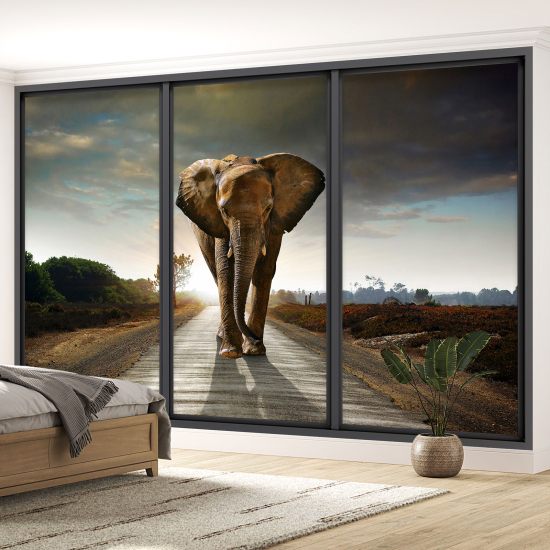 Papel pintado panorámico trampantojo - Elefante