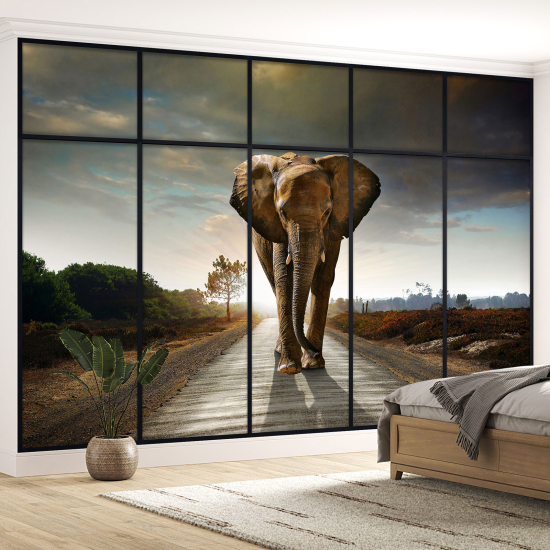 Papel pintado panorámico trampantojo - Elefante