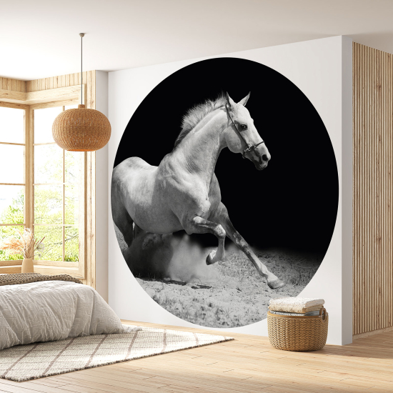 Papel pintado redondo - Caballo
