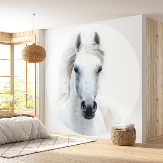 Papel pintado redondo - Caballo