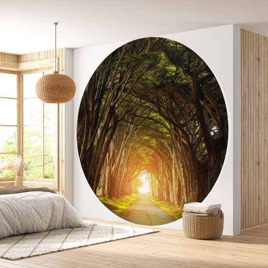 Papel pintado redondo - Camino bosque