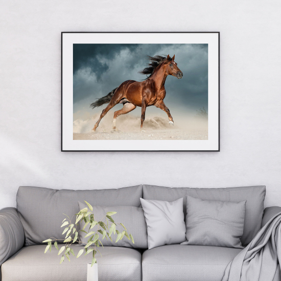Póster - Caballo