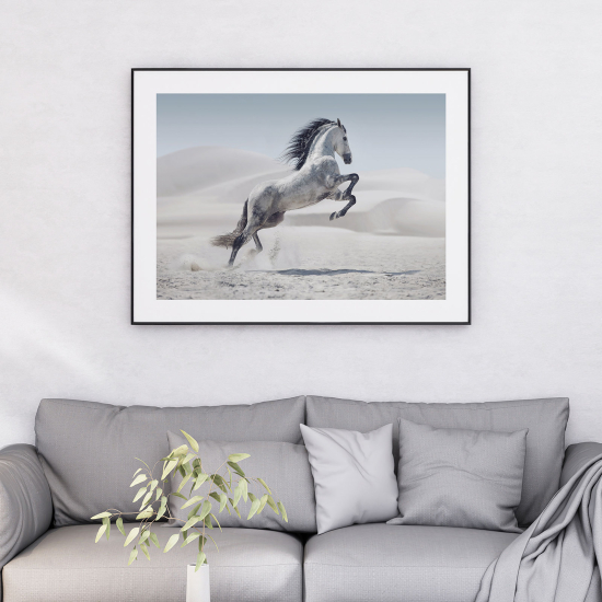 Póster - Caballo