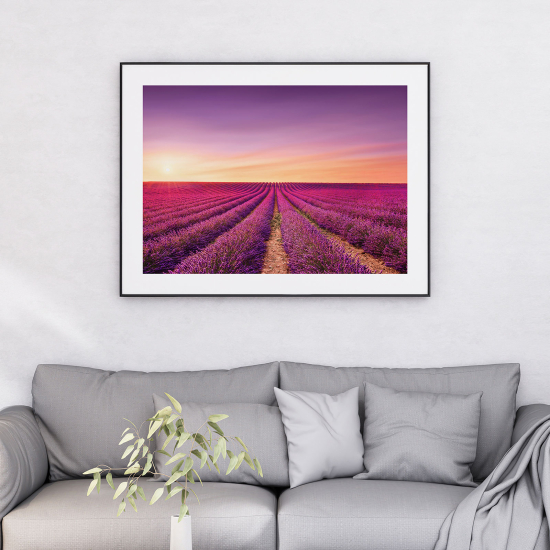 Póster - Campo de lavanda