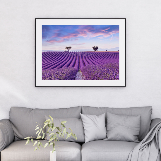 Póster - Campo de lavanda