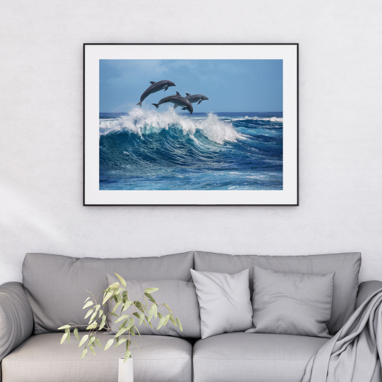 Póster - Delfines