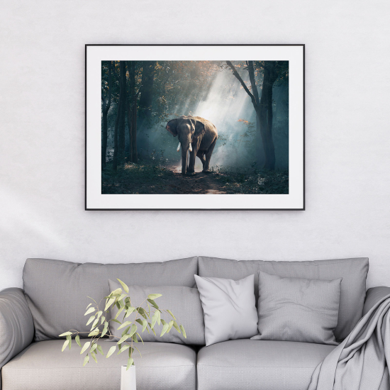 Póster - Elefante