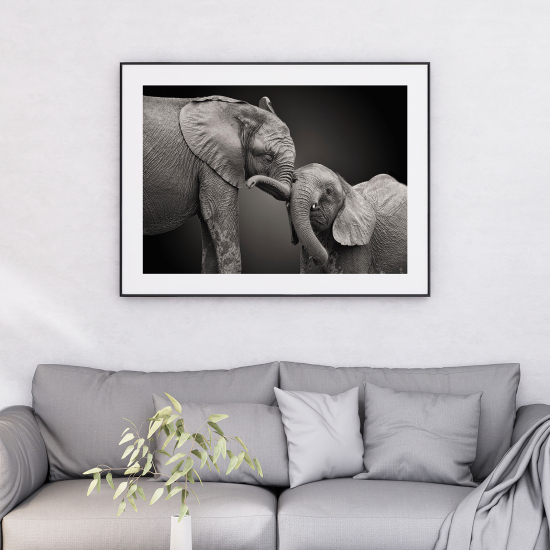 Póster - Elefantes