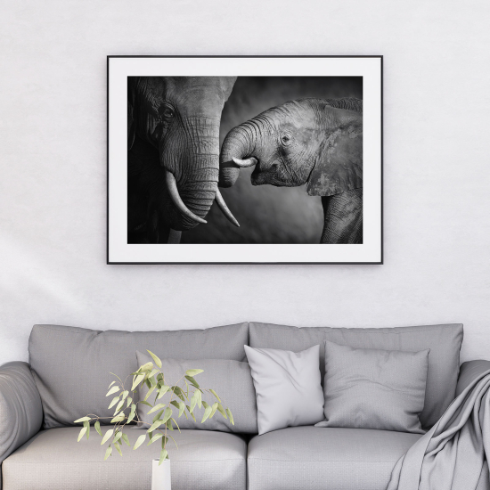 Póster - Elefantes