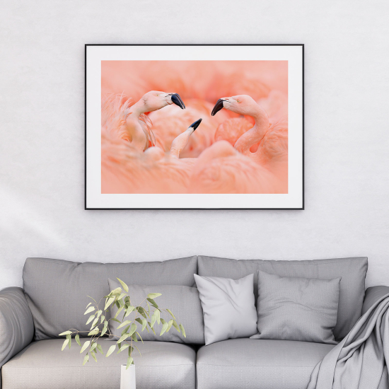 Póster - Flamencos rosas