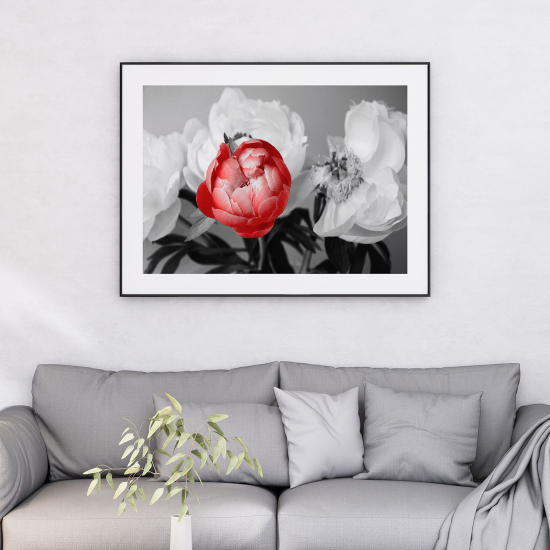 Póster - Flores