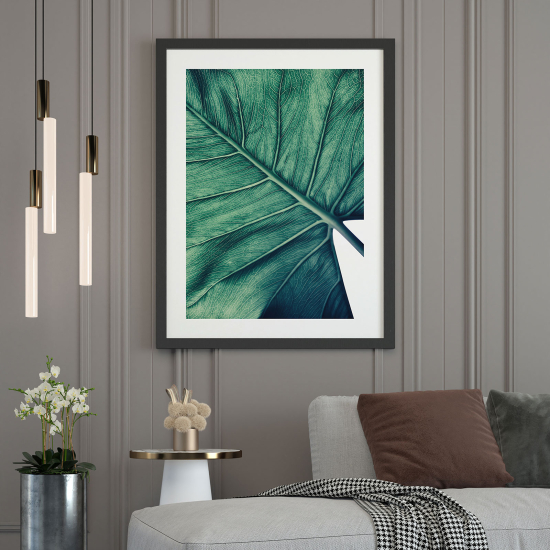 Póster - Hoja