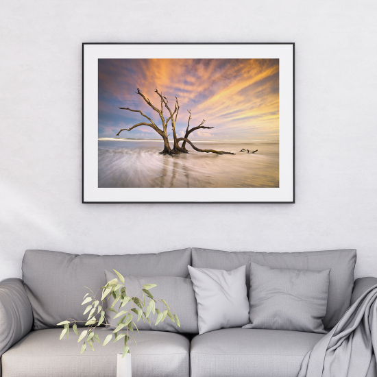 Póster - Madera flotante