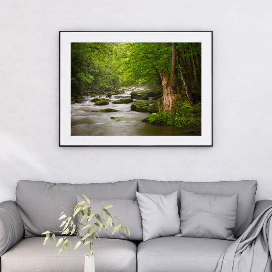 Póster - Río Bosque