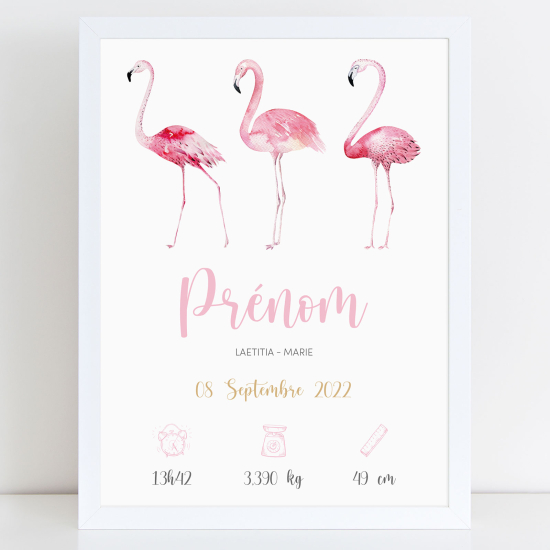 Pósters de nacimiento - Flamencos rosas
