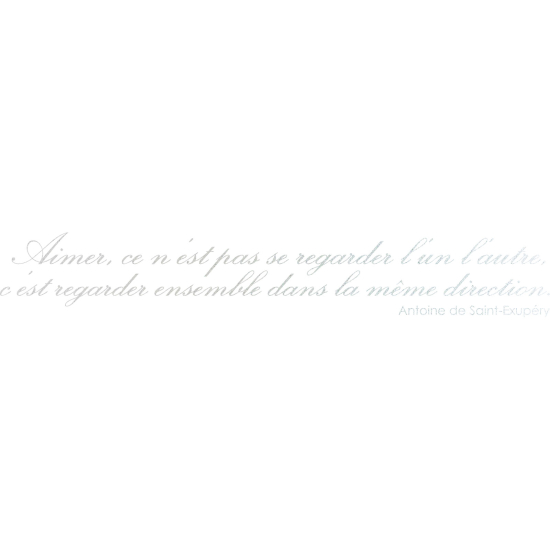 Vinilo Adhesivo Decorativo esmerilado - Cita Antoine de Saint-Exupéry