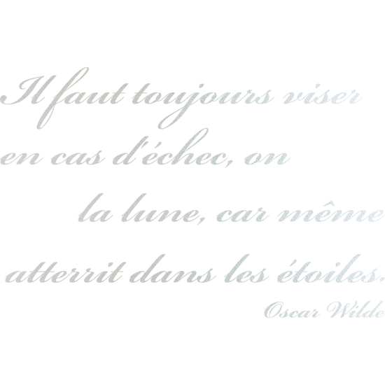 Vinilo Adhesivo Decorativo esmerilado - Cita Oscar Wilde