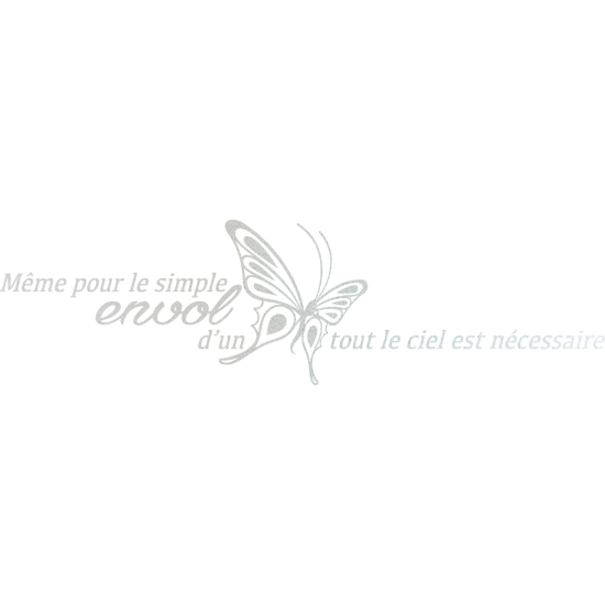 Vinilo Adhesivo Decorativo esmerilado - Cita Simple Envol...