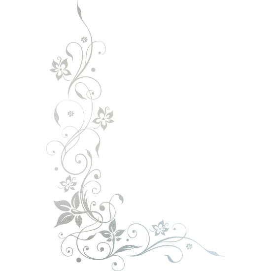 Vinilo Adhesivo Decorativo esmerilado - Composición floral