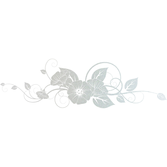 Vinilo Adhesivo Decorativo esmerilado - Flores