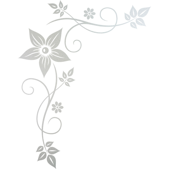 Vinilo Adhesivo Decorativo esmerilado - Flores