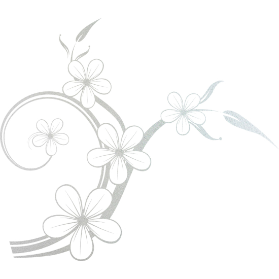 Vinilo Adhesivo Decorativo esmerilado - Flores