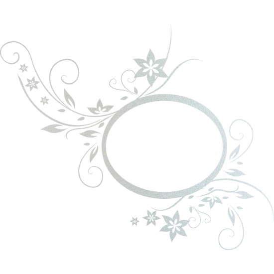 Vinilo Adhesivo Decorativo esmerilado - Flores