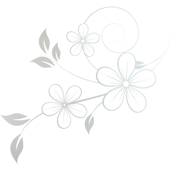 Vinilo Adhesivo Decorativo esmerilado - Flores