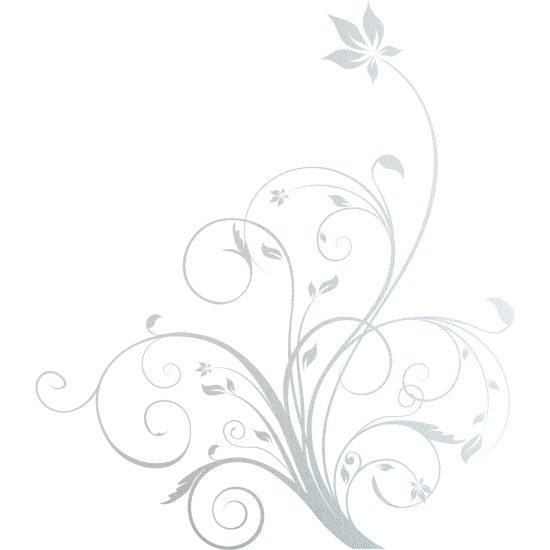Vinilo Adhesivo Decorativo esmerilado - Flores