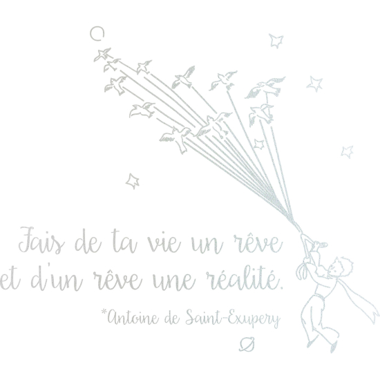 Vinilo Adhesivo Decorativo esmerilado - Haz de tu vida un sueño