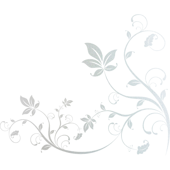 Vinilo Adhesivo Decorativo esmerilado - Rama floral