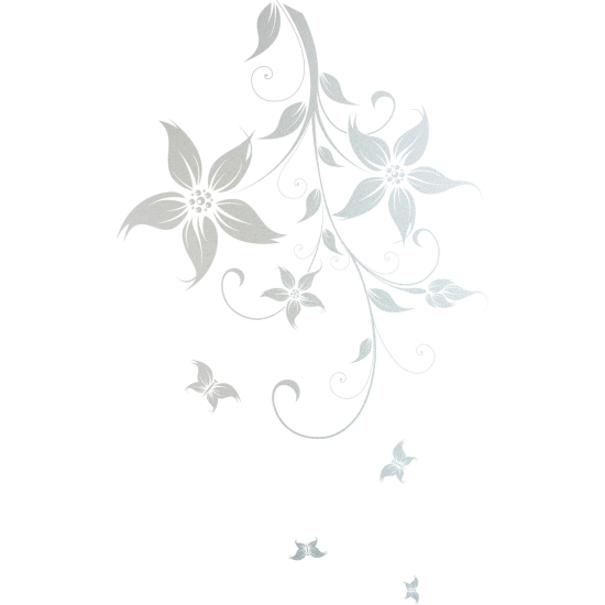 Vinilo Adhesivo Decorativo esmerilado - Rama floral