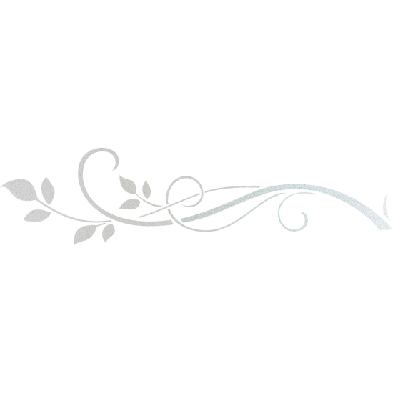 Vinilo Adhesivo Decorativo esmerilado - Rama floral