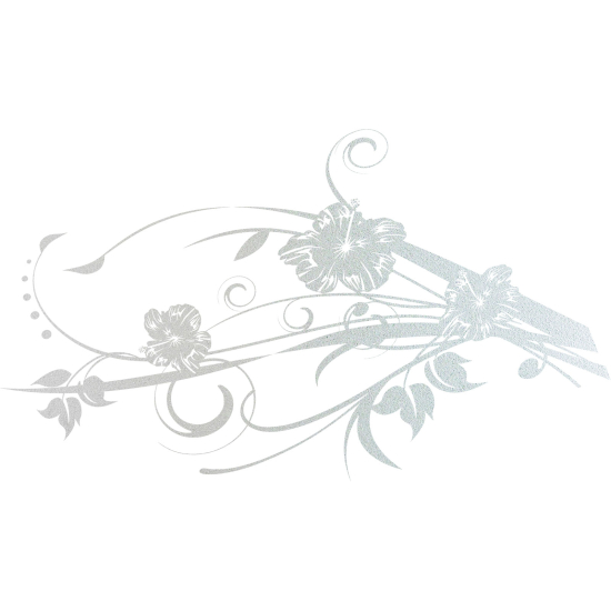 Vinilo Adhesivo Decorativo esmerilado - Rama floral
