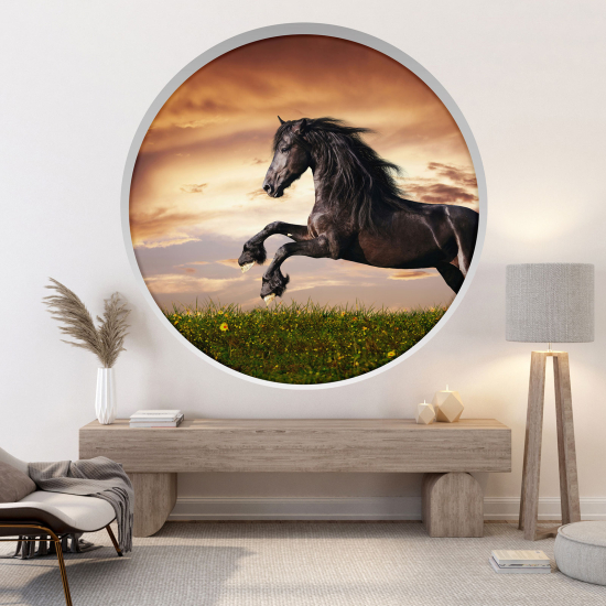 Vinilo Adhesivo Decorativo trampantojo 3D - Caballo
