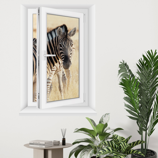 Vinilo Adhesivo Decorativo trampantojo 3D - Cebras