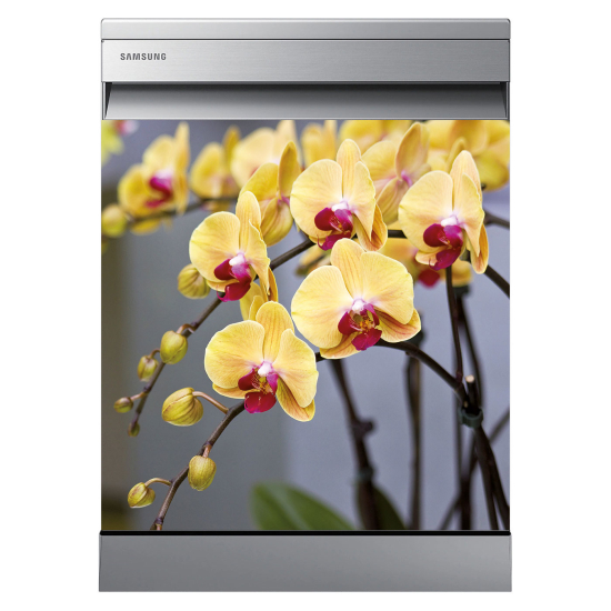 Vinilo Adhesivo para lavavajillas - Orquídeas