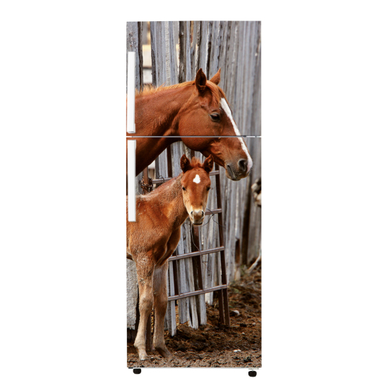 Vinilo Adhesivo para nevera - Caballos