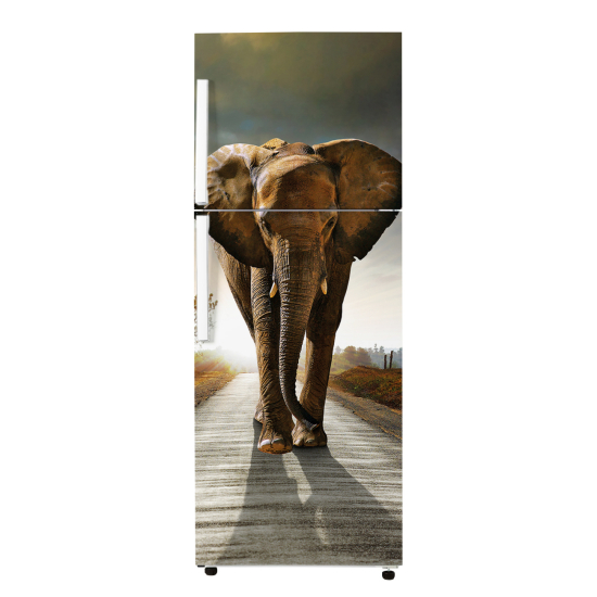Vinilo Adhesivo para nevera - Elefante