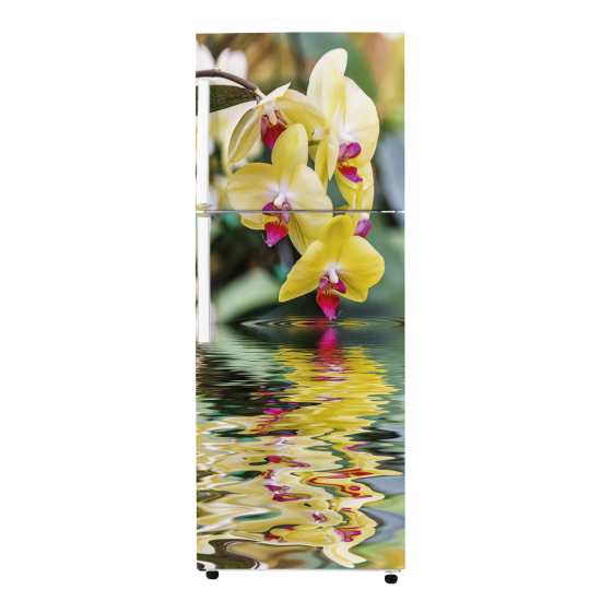 Vinilo Adhesivo para nevera - Orquídeas