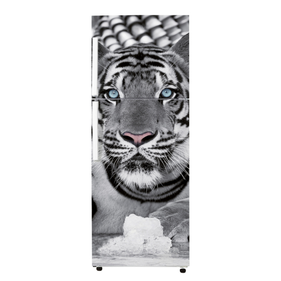 Vinilo Adhesivo para nevera - Tigre