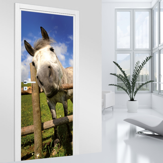 Vinilo Adhesivo para puerta - Caballo