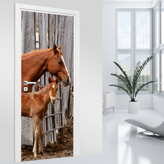 Vinilo Adhesivo para puerta - Caballos