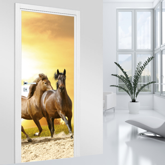 Vinilo Adhesivo para puerta - Caballos