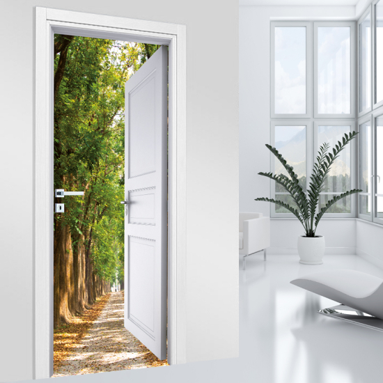 Vinilo Adhesivo para puerta - Camino