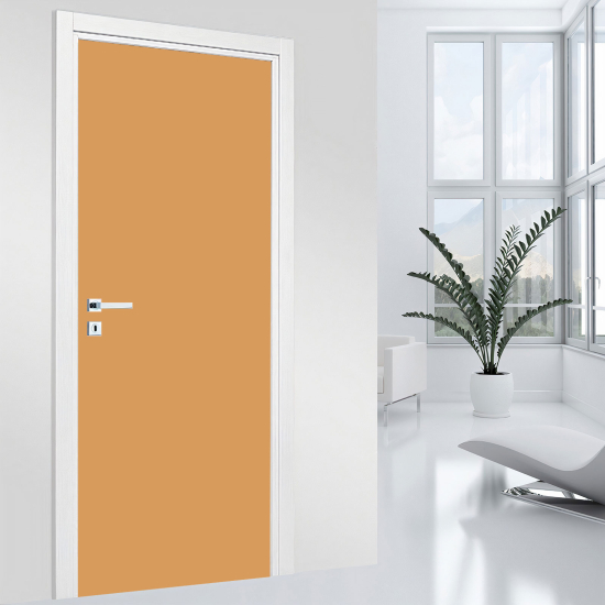 Vinilo Adhesivo para puerta - Color de moda