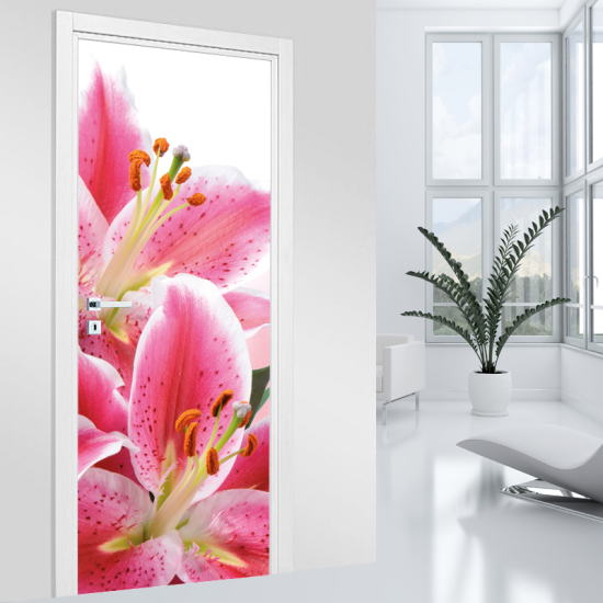 Vinilo Adhesivo para puerta - Flores