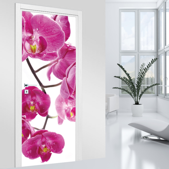 Vinilo Adhesivo para puerta - Orquídea